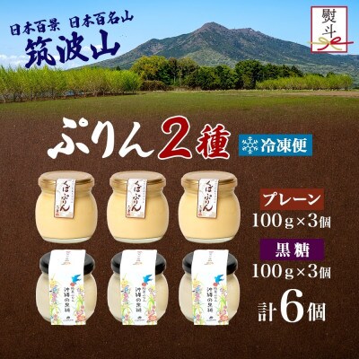 熨斗付き つくばぷりん プレーン & 三時茶ぷりん 黒糖 各3個 計6個 冷凍 ふじ屋 茨城県桜川市