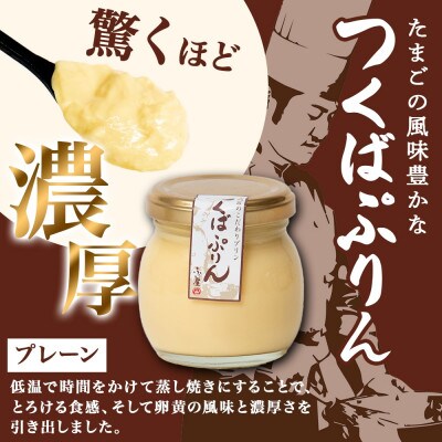 熨斗付き つくばぷりん プレーン & 三時茶ぷりん 塩 各3個 計6個 冷凍 ふじ屋 茨城県桜川市