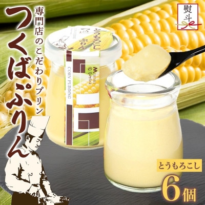 熨斗付き つくばぷりん とうもろこしプリン 6個 ふじ屋 茨城県桜川市