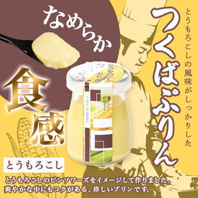 熨斗付き つくばぷりん とうもろこしプリン 6個 ふじ屋 茨城県桜川市