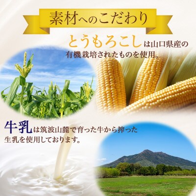 熨斗付き つくばぷりん とうもろこしプリン 6個 ふじ屋 茨城県桜川市