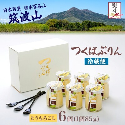 熨斗付き つくばぷりん とうもろこしプリン 6個 ふじ屋 茨城県桜川市