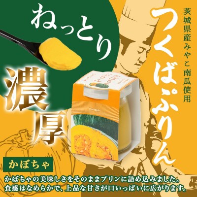 熨斗付き つくばぷりん かぼちゃぷりん 6個 ふじ屋 茨城県桜川市