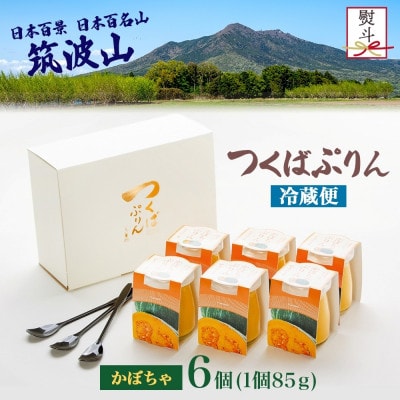 熨斗付き つくばぷりん かぼちゃぷりん 6個 ふじ屋 茨城県桜川市