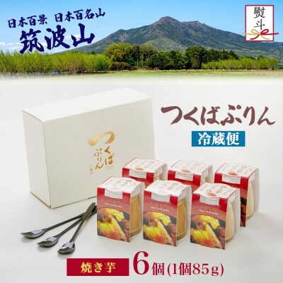 熨斗付き つくばぷりん 焼き芋ぷりん 6個 ふじ屋 茨城県桜川市