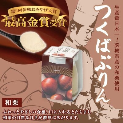 熨斗付き つくばぷりん 和栗ぷりん 6個 ふじ屋 茨城県桜川市