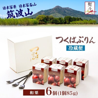 熨斗付き つくばぷりん 和栗ぷりん 6個 ふじ屋 茨城県桜川市