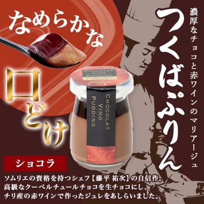 熨斗付き つくばぷりん ショコラ・ヴィノ・プディング 6個 ふじ屋 茨城県桜川市