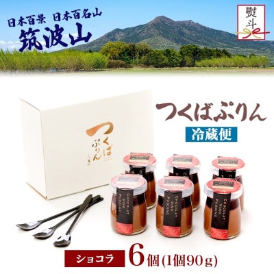 熨斗付き つくばぷりん ショコラ・ヴィノ・プディング 6個 ふじ屋 茨城県桜川市