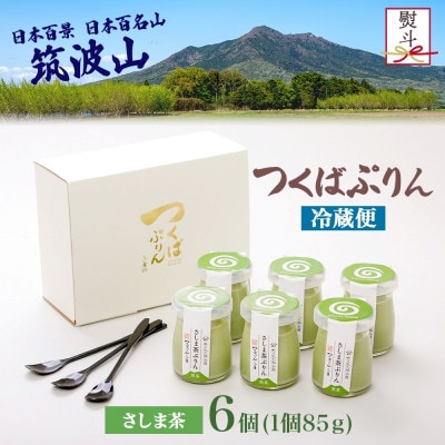 熨斗付き つくばぷりん さしま茶ぷりん 6個 ふじ屋 茨城県桜川市