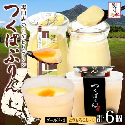熨斗付き ゴールドぷりん & とうもろこしぷりん 各3個 計6個 ふじ屋 茨城県桜川市