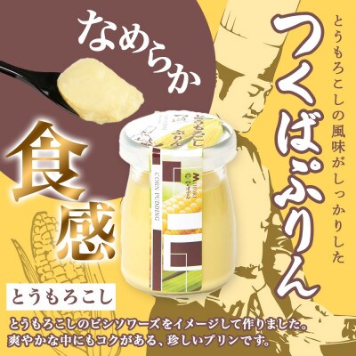 熨斗付き ゴールドぷりん & とうもろこしぷりん 各3個 計6個 ふじ屋 茨城県桜川市