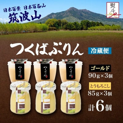熨斗付き ゴールドぷりん & とうもろこしぷりん 各3個 計6個 ふじ屋 茨城県桜川市