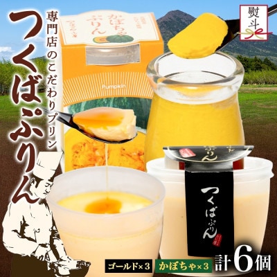 熨斗付き ゴールドぷりん & かぼちゃプリン 各3個 計6個 ふじ屋 茨城県桜川市