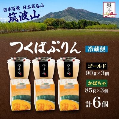 熨斗付き ゴールドぷりん & かぼちゃプリン 各3個 計6個 ふじ屋 茨城県桜川市