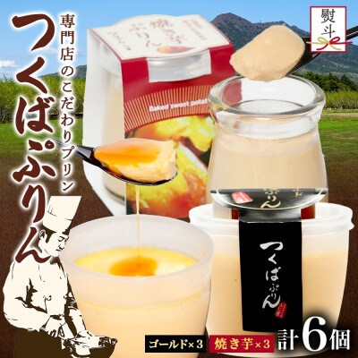 熨斗付き ゴールドぷりん & 焼き芋ぷりん 各3個 計6個 ふじ屋 茨城県桜川市