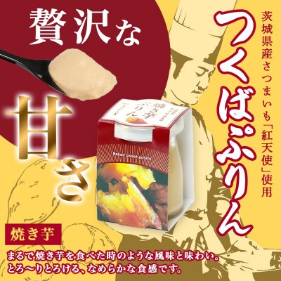 熨斗付き ゴールドぷりん & 焼き芋ぷりん 各3個 計6個 ふじ屋 茨城県桜川市
