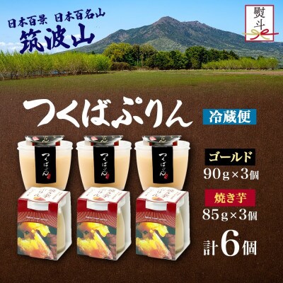 熨斗付き ゴールドぷりん & 焼き芋ぷりん 各3個 計6個 ふじ屋 茨城県桜川市