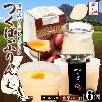 熨斗付き ゴールドぷりん & 和栗ぷりん 各3個 計6個 ふじ屋 茨城県桜川市