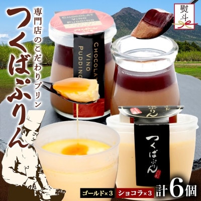 熨斗付き ゴールドぷりん & ショコラ・ヴィノ・プディング 各3個 計6個 ふじ屋 茨城県桜川市