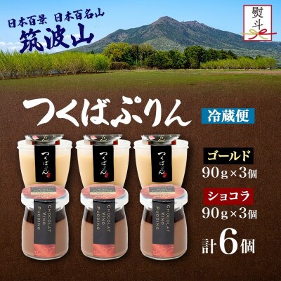 熨斗付き ゴールドぷりん & ショコラ・ヴィノ・プディング 各3個 計6個 ふじ屋 茨城県桜川市