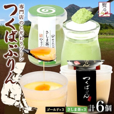 熨斗付き ゴールドぷりん & さしま茶ぷりん 各3個 計6個 ふじ屋 茨城県桜川市