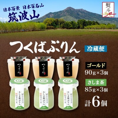 熨斗付き ゴールドぷりん & さしま茶ぷりん 各3個 計6個 ふじ屋 茨城県桜川市