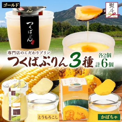 熨斗付き ゴールドぷりん & とうもろこしプリン & かぼちゃぷりん 各2個 計6個 ふじ屋 桜川市