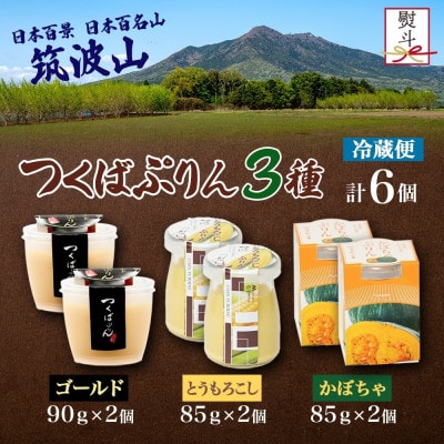熨斗付き ゴールドぷりん & とうもろこしプリン & かぼちゃぷりん 各2個 計6個 ふじ屋 桜川市