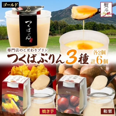 熨斗付き ゴールドぷりん & 焼き芋ぷりん & 和栗ぷりん 各2個 計6個 ふじ屋 茨城県桜川市