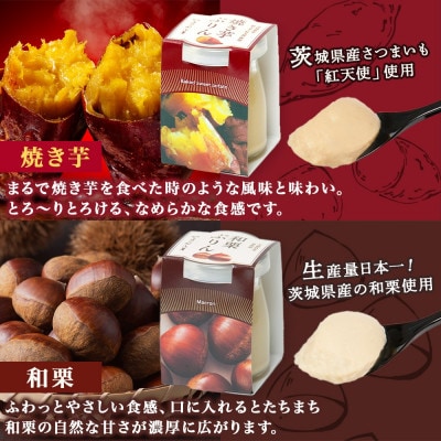 熨斗付き ゴールドぷりん & 焼き芋ぷりん & 和栗ぷりん 各2個 計6個 ふじ屋 茨城県桜川市