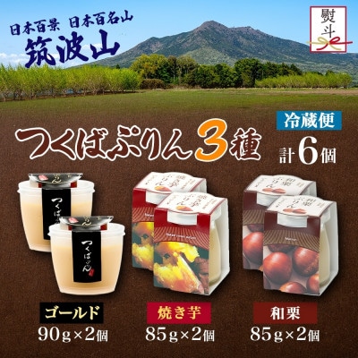 熨斗付き ゴールドぷりん & 焼き芋ぷりん & 和栗ぷりん 各2個 計6個 ふじ屋 茨城県桜川市