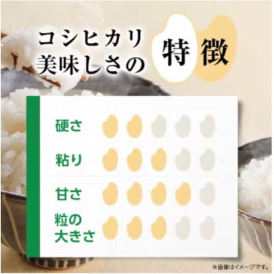 《 令和7年産 》 コシヒカリ 精米 5kg (茨城県共通返礼品 かすみがうら市)