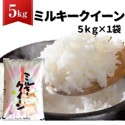 【令和7年産】ミルキークイーン 精米 5kg(茨城県共通返礼品・かすみがうら市産)