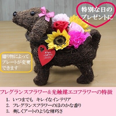 フレグランスフラワー&光触媒エコフラワー「番犬くんL」