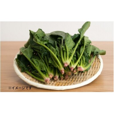 匠が作る「丸盆ざる」2点セット_1928R