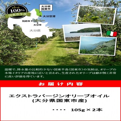 【先行受付】河野農園のエキストラバージンオリーブオイル 105g×2本 _1922R
