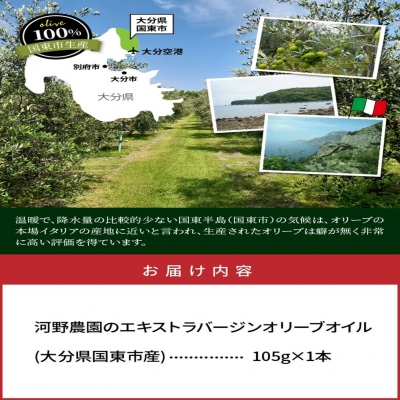 【数量限定】 河野農園のエキストラバージンオリーブオイル 105g×1本_1921R
