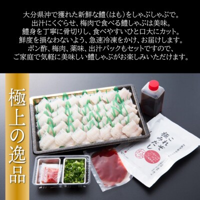 豊後鱧のしゃぶしゃぶセット_29026A