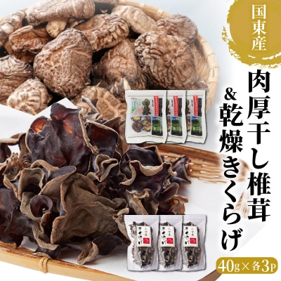 国東産の肉厚干し椎茸(冬菇 どんこ)&乾燥きくらげ_29060A