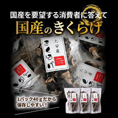 国東産の肉厚干し椎茸(冬菇 どんこ)&乾燥きくらげ_29060A