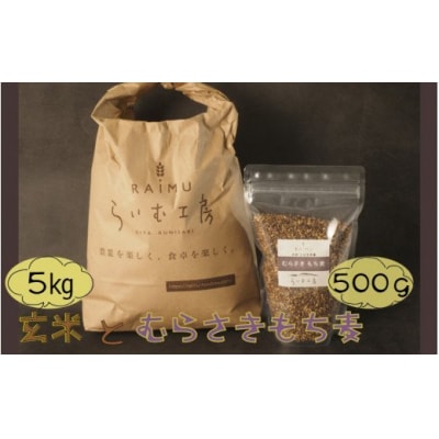 らいむ工房のむらさきもち麦500gと玄米5kg_1903R
