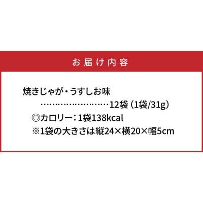 揚げないポテチ焼きじゃが12袋/うすしお味_0519Z
