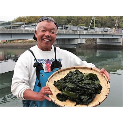 国東半島の天然お刺身わかめ(1kg)_051Z