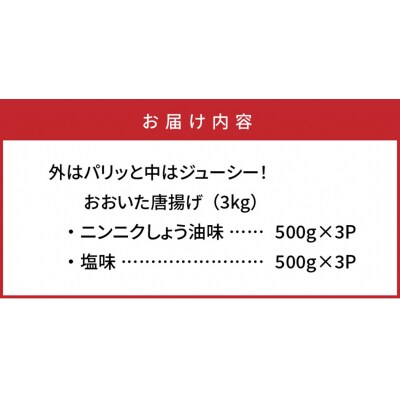 外はパリッと中はジューシー!!おおいた唐揚げ3kg_29225A