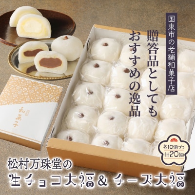 和と洋のいいとこ取り!チーズ大福&生チョコ大福(計20個)_29234A 