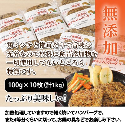椎鶏(しいチキン)の無添加ハンバーグ1kg_10127Z