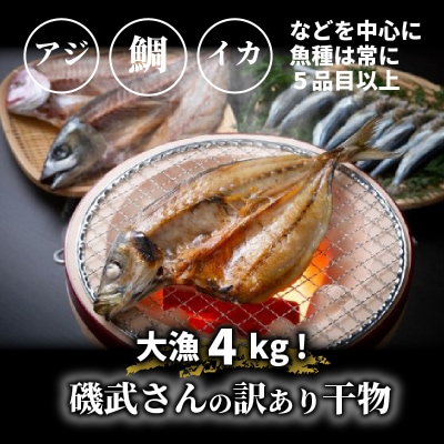 大漁4kg!磯武さんの訳あり干物 訳アリ セット 詰合せ 冷凍 ひもの_1021R