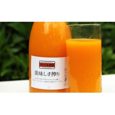 無添加生搾り!果汁100%濃厚みかんジュース 720ml×2本_1025R