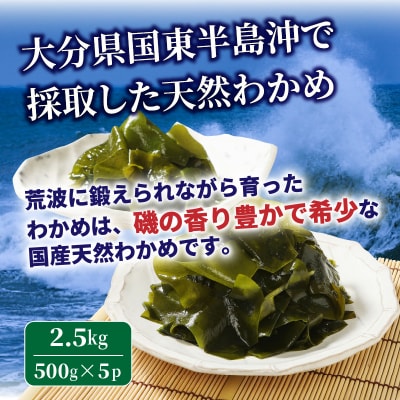 国東半島の天然お刺身わかめ(2.5kg)_102Z